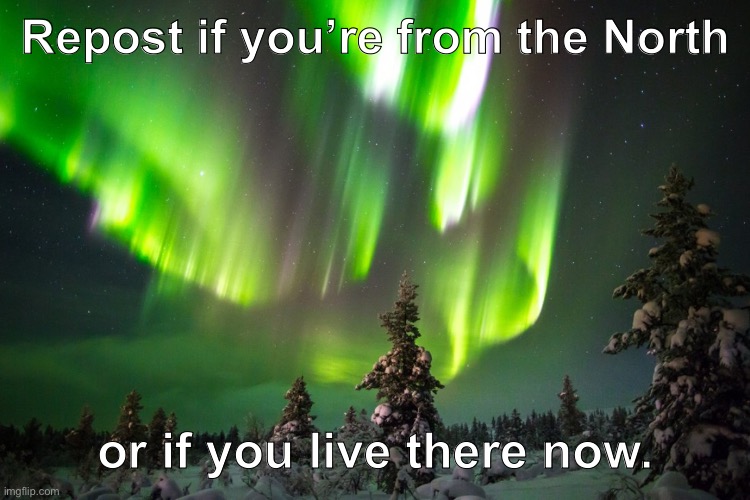 Northern Lights | Repost if you’re from the North; or if you live there now. | image tagged in northern lights | made w/ Imgflip meme maker