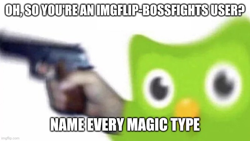 I'm doing this because I only know like 3 of them | OH, SO YOU'RE AN IMGFLIP-BOSSFIGHTS USER? NAME EVERY MAGIC TYPE | image tagged in duolingo gun | made w/ Imgflip meme maker