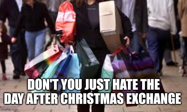 shopping packages | DON'T YOU JUST HATE THE DAY AFTER CHRISTMAS EXCHANGE | image tagged in shopping packages | made w/ Imgflip meme maker