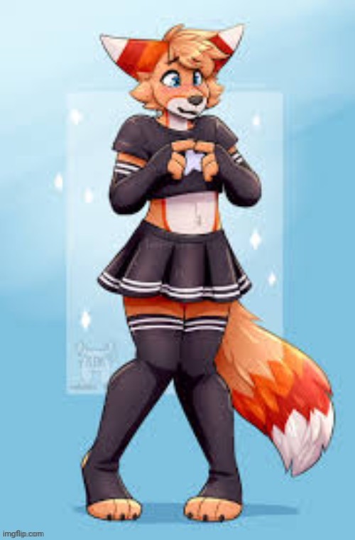 Femboy furry | image tagged in femboy furry | made w/ Imgflip meme maker