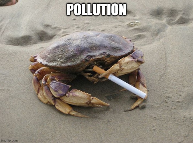 Smoking Crab | POLLUTION | image tagged in smoking crab | made w/ Imgflip meme maker