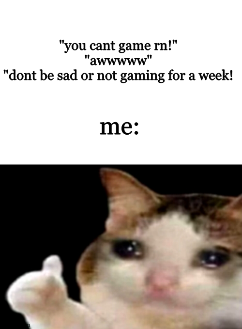 "you are addicteeeeeed!!" | "you cant game rn!"
"awwwww"
"dont be sad or not gaming for a week! me: | image tagged in sad cat thumbs up white spacing,gaming | made w/ Imgflip meme maker