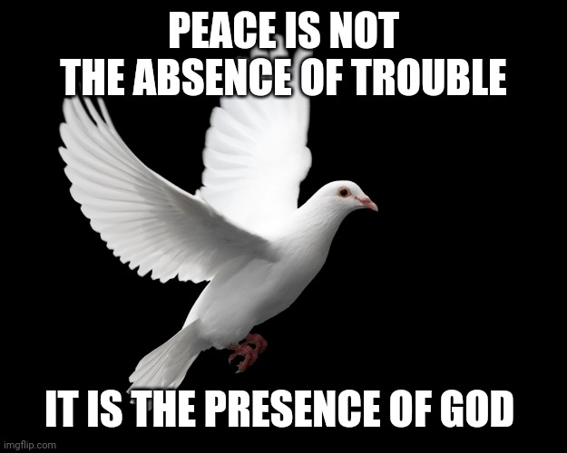 DOVE PIGEON LOVE PEACE HAPPINESS | PEACE IS NOT THE ABSENCE OF TROUBLE; IT IS THE PRESENCE OF GOD | image tagged in dove pigeon love peace happiness | made w/ Imgflip meme maker