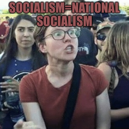 Brainwashed | SOCIALISM=NATIONAL SOCIALISM | image tagged in socialism,communist socialist,social justice warriors,cucks,political meme,political humor | made w/ Imgflip meme maker