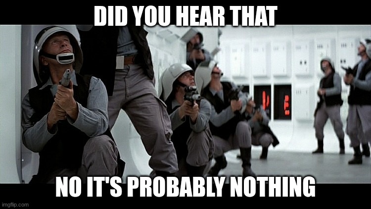 rebel fleet trooper | DID YOU HEAR THAT NO IT'S PROBABLY NOTHING | image tagged in rebel fleet trooper | made w/ Imgflip meme maker