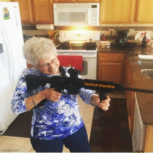 Tactical granny | image tagged in grandma,guns | made w/ Imgflip meme maker