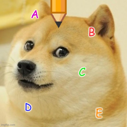 No | A; B; C; D; E | image tagged in memes,doge | made w/ Imgflip meme maker