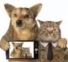 me n who | made w/ Imgflip meme maker