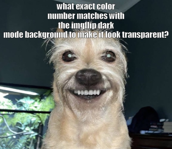 The "Dog" | what exact color number matches with the imgflip dark mode background to make it look transparent? | image tagged in the dog | made w/ Imgflip meme maker
