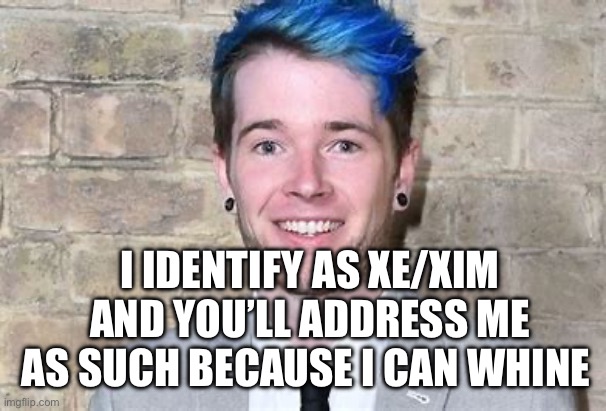 Pronouns | I IDENTIFY AS XE/XIM AND YOU’LL ADDRESS ME AS SUCH BECAUSE I CAN WHINE | image tagged in blue hair white guy,whiners,lgbtq,politics,pronouns | made w/ Imgflip meme maker