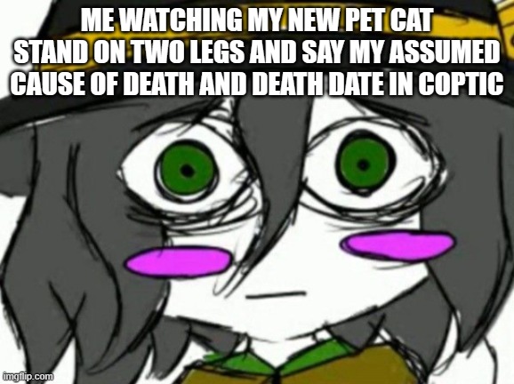 kkhta meme | ME WATCHING MY NEW PET CAT STAND ON TWO LEGS AND SAY MY ASSUMED CAUSE OF DEATH AND DEATH DATE IN COPTIC | image tagged in touhou,scary,relatable | made w/ Imgflip meme maker