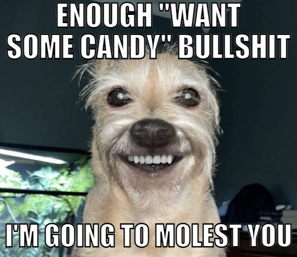 The "Dog" | ENOUGH "WANT SOME CANDY" BULLSHIT; I'M GOING TO MOLEST YOU | image tagged in the dog | made w/ Imgflip meme maker