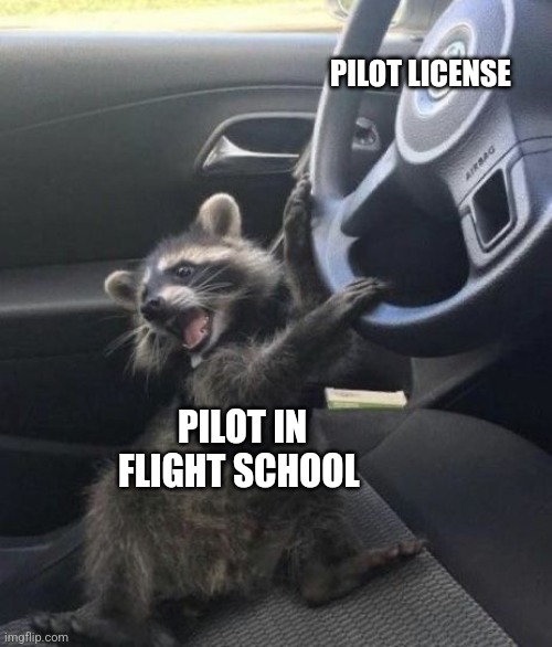 Pilot in flight school | PILOT LICENSE; PILOT IN FLIGHT SCHOOL | image tagged in raccoon driving car,airplane | made w/ Imgflip meme maker
