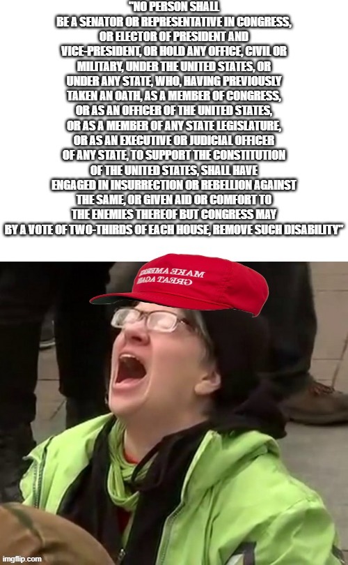 triggered liberal but its from an alternate reality | made w/ Imgflip meme maker