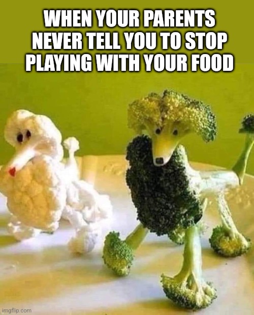 Collieflower and BrocCollie | WHEN YOUR PARENTS NEVER TELL YOU TO STOP PLAYING WITH YOUR FOOD | image tagged in playing with your food,dog food,collieflower,broccoli,food,art | made w/ Imgflip meme maker