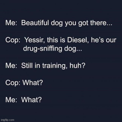 What? | image tagged in eye roll,stay away from cops with dogs | made w/ Imgflip meme maker