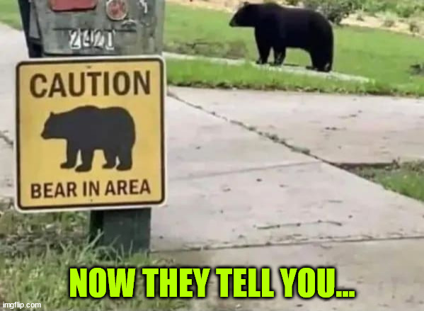 Hope the bear doesn't see me | NOW THEY TELL YOU... | image tagged in eye roll,early warning needed,too late | made w/ Imgflip meme maker