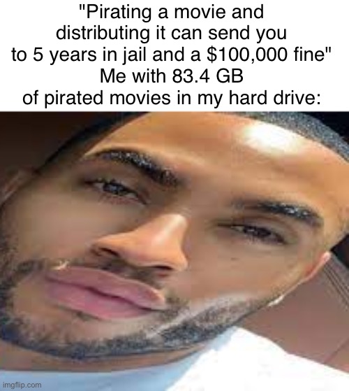 actually true | "Pirating a movie and distributing it can send you to 5 years in jail and a $100,000 fine"
Me with 83.4 GB of pirated movies in my hard drive: | image tagged in lightskin stare | made w/ Imgflip meme maker