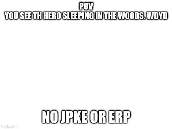 Blank White Template | POV
YOU SEE TH HERO SLEEPING IN THE WOODS. WDYD; NO JPKE OR ERP | image tagged in blank white template | made w/ Imgflip meme maker