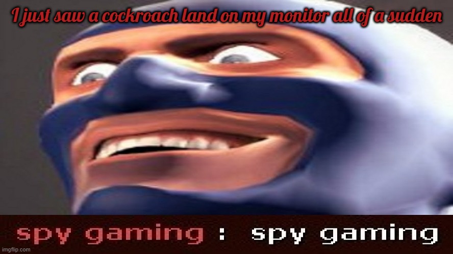 also, spy gaming | I just saw a cockroach land on my monitor all of a sudden | image tagged in spy gaming | made w/ Imgflip meme maker