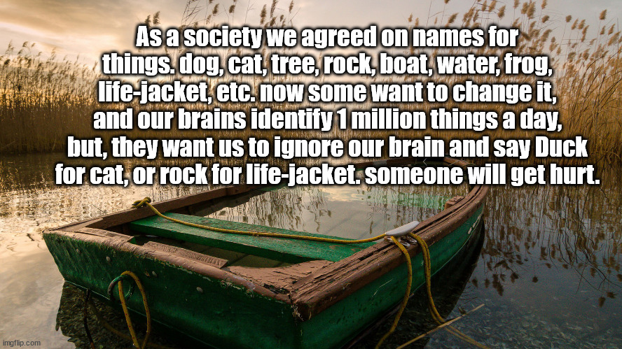 names for things | As a society we agreed on names for things. dog, cat, tree, rock, boat, water, frog, life-jacket, etc. now some want to change it, and our brains identify 1 million things a day, but, they want us to ignore our brain and say Duck for cat, or rock for life-jacket. someone will get hurt. | image tagged in woke | made w/ Imgflip meme maker