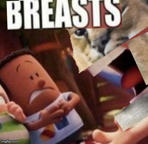 How have been your Xmas Chat? (Image unrelated) | image tagged in breasts | made w/ Imgflip meme maker