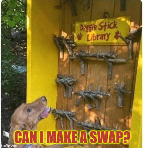 What if I lost my library card? | CAN I MAKE A SWAP? | image tagged in dogs,stick,library | made w/ Imgflip meme maker