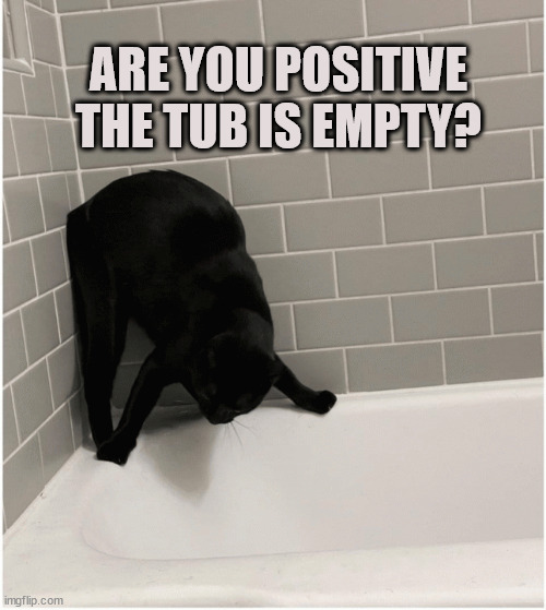 Bathtubs can be scary... | ARE YOU POSITIVE THE TUB IS EMPTY? | image tagged in cats,scary,bathtub | made w/ Imgflip meme maker