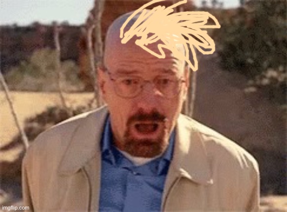 Walter White | image tagged in walter white | made w/ Imgflip meme maker