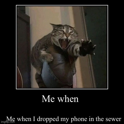Me when | Me when I dropped my phone in the sewer | image tagged in funny,demotivationals | made w/ Imgflip demotivational maker