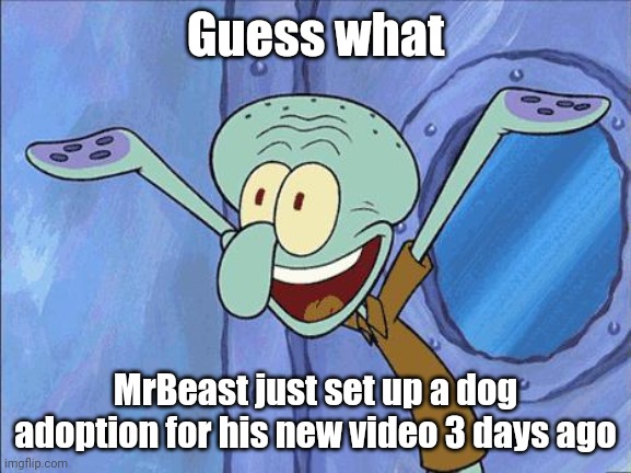 Squidward-Happy | Guess what; MrBeast just set up a dog adoption for his new video 3 days ago | image tagged in squidward-happy,memes,mrbeast,dogs,adoption | made w/ Imgflip meme maker