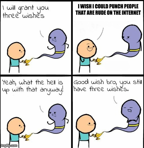 You Still Have 3 Wishes | I WISH I COULD PUNCH PEOPLE THAT ARE RUDE ON THE INTERNET | image tagged in you still have 3 wishes | made w/ Imgflip meme maker