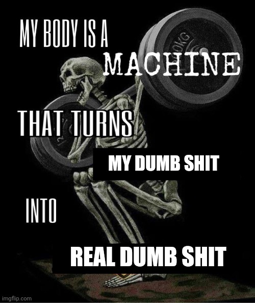 My body is machine | MY DUMB SHIT; REAL DUMB SHIT | image tagged in my body is machine | made w/ Imgflip meme maker