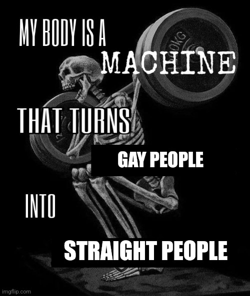 My body is machine | GAY PEOPLE; STRAIGHT PEOPLE | image tagged in my body is machine | made w/ Imgflip meme maker