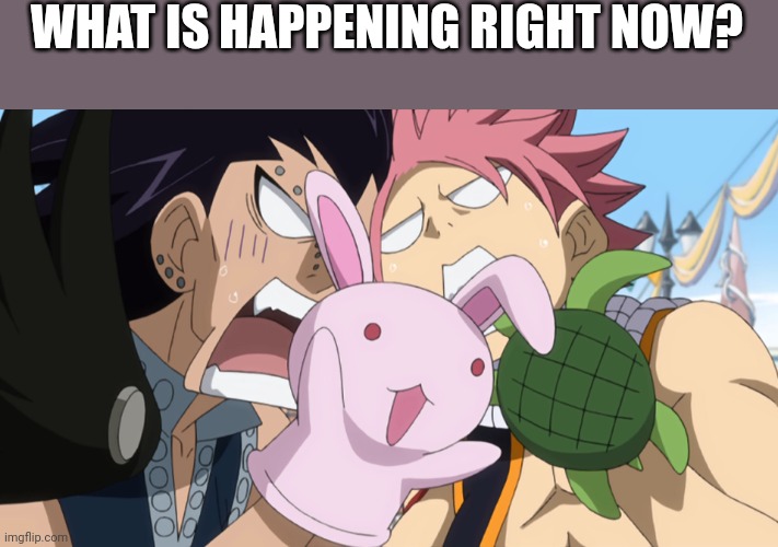 Fairytail Puppet Fight | WHAT IS HAPPENING RIGHT NOW? | image tagged in fairytail puppet fight | made w/ Imgflip meme maker