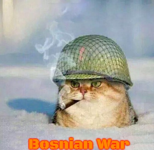 War Cat | Bosnian War | image tagged in war cat,bosnian war,slavic | made w/ Imgflip meme maker