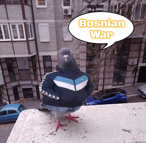 pigeon slavic pigeon | Bosnian War | image tagged in pigeon slavic pigeon,slavic,bosnian war | made w/ Imgflip meme maker