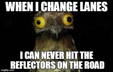 Weird Stuff I Do Potoo | WHEN I CHANGE LANES I CAN NEVER HIT THE REFLECTORS ON THE ROAD | image tagged in memes,weird stuff i do potoo | made w/ Imgflip meme maker