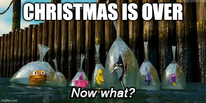 Now What? | CHRISTMAS IS OVER | image tagged in now what,christmas,finding nemo | made w/ Imgflip meme maker
