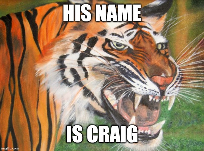 Hipster tiger | HIS NAME; IS CRAIG | image tagged in hipster tiger | made w/ Imgflip meme maker