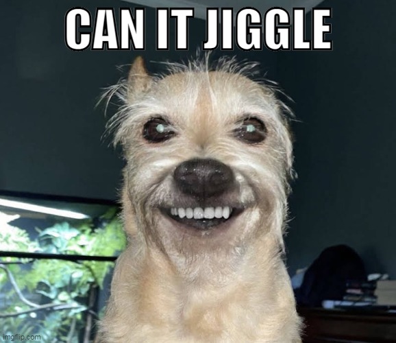 The "Dog" | CAN IT JIGGLE | image tagged in the dog | made w/ Imgflip meme maker
