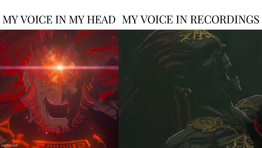 I'm wondering how the best Voice Actor react to their voice in Recordings. | MY VOICE IN RECORDINGS; MY VOICE IN MY HEAD | image tagged in memes,funny,voice | made w/ Imgflip meme maker
