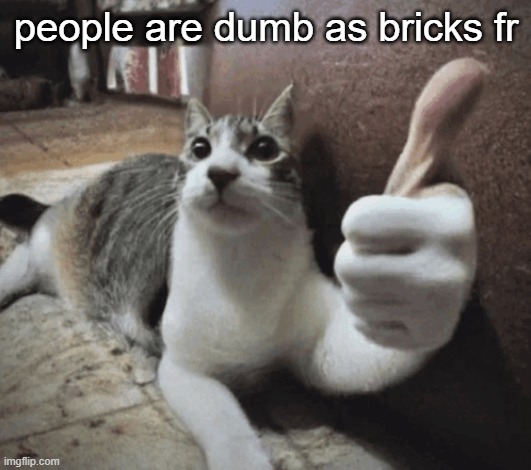 cat thumbs up | people are dumb as bricks fr | image tagged in cat thumbs up | made w/ Imgflip meme maker