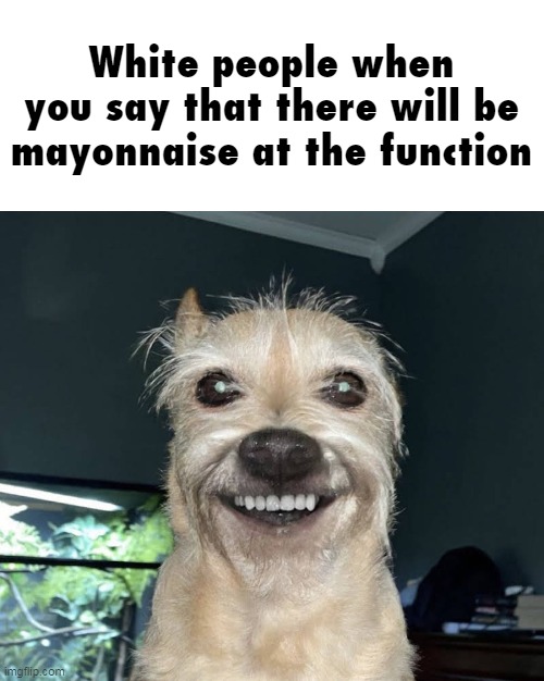 The "Dog" | White people when you say that there will be mayonnaise at the function | image tagged in the dog | made w/ Imgflip meme maker