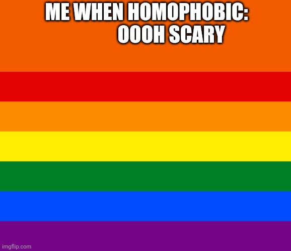 Pride flag | ME WHEN HOMOPHOBIC:              OOOH SCARY | image tagged in pride flag | made w/ Imgflip meme maker