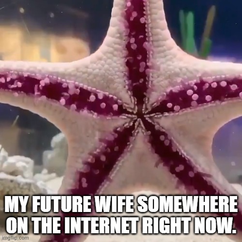 Chivalry is Dead | MY FUTURE WIFE SOMEWHERE ON THE INTERNET RIGHT NOW. | image tagged in butthole,nudes,onlyfans,internet dating,online dating,stay classy | made w/ Imgflip meme maker