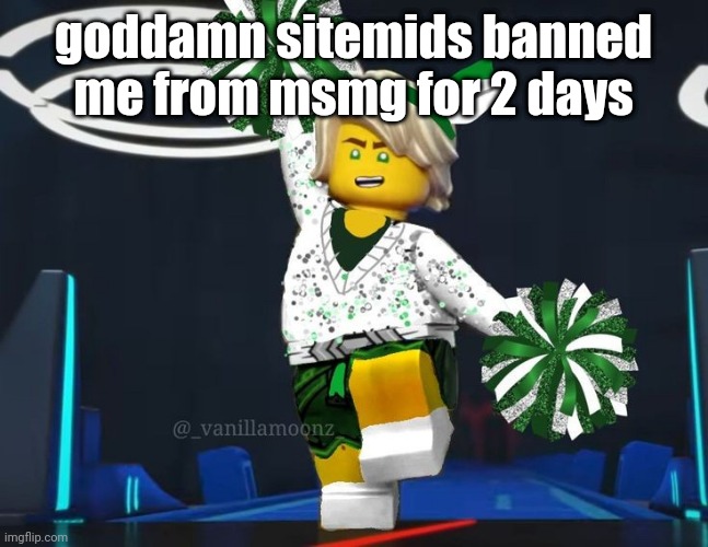 twink mfer | goddamn sitemids banned me from msmg for 2 days | image tagged in twink mfer | made w/ Imgflip meme maker