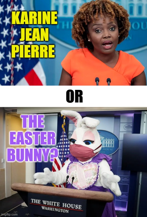 Who Would Be A Better Press Secretary? | KARINE JEAN PIERRE; THE EASTER BUNNY? OR | image tagged in memes,politics,better,press secretary,or,easter bunny | made w/ Imgflip meme maker