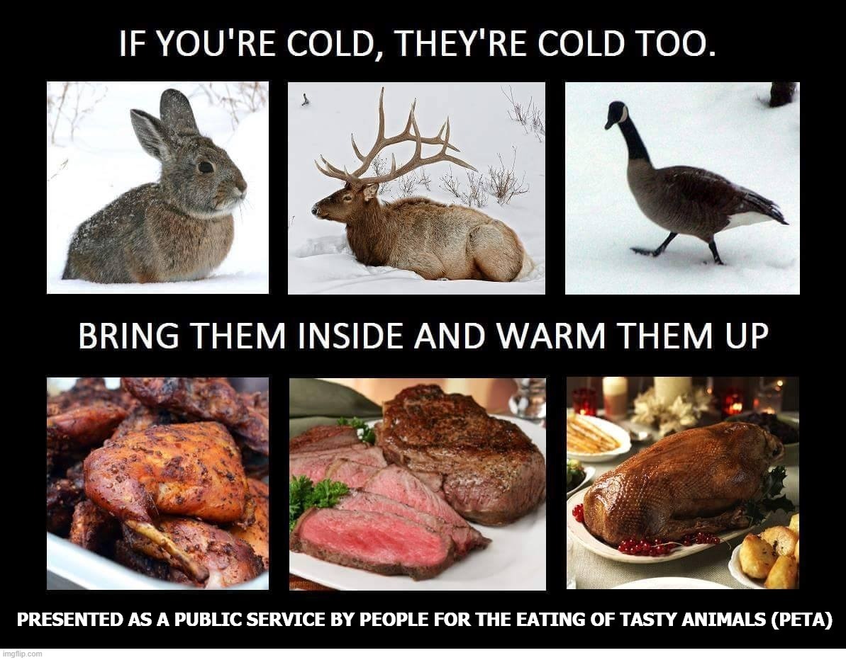 PETA Public Service Announcement | image tagged in peta,people for the eating of tasty animals,turkey day,goose day,elk day,rabbit day | made w/ Imgflip meme maker