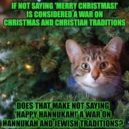 This #lolcat wonders if all traditions should be respected or just yours | IF NOT SAYING 'MERRY CHRISTMAS!'
IS CONSIDERED A WAR ON CHRISTMAS AND CHRISTIAN TRADITIONS; DOES THAT MAKE NOT SAYING
'HAPPY HANNUKAH!' A WAR ON HANNUKAH AND JEWISH TRADITIONS? | image tagged in traditions,lolcat,war on christmas,hannukah,jewish,think about it | made w/ Imgflip meme maker